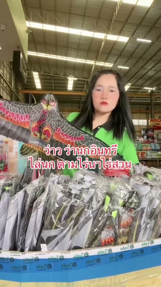 ว่าวนกอินทรีย์  ไร่นก ตัวช่วยไล่นกในสวนและไร่นา